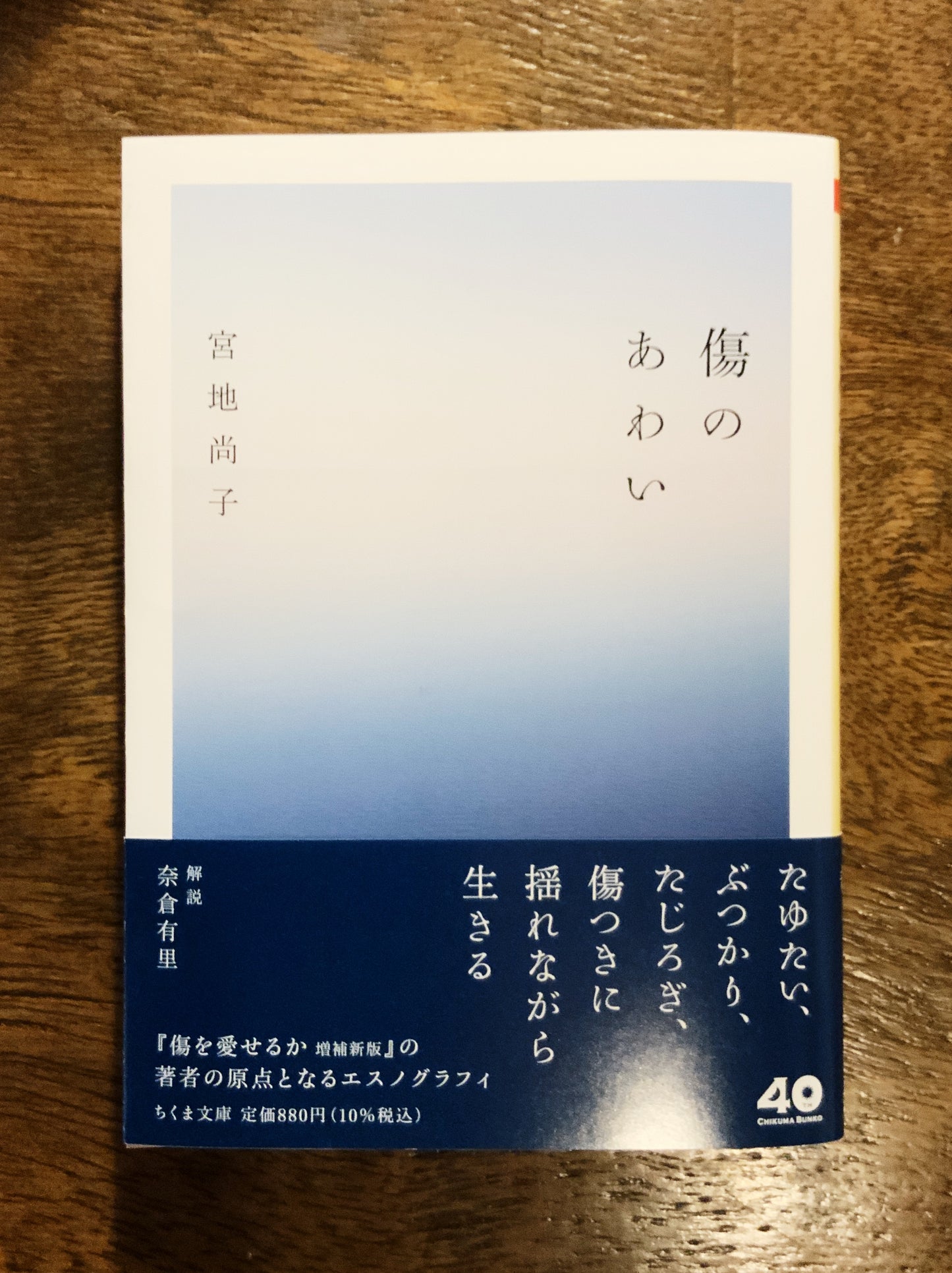 宮地尚子『傷のあわい』