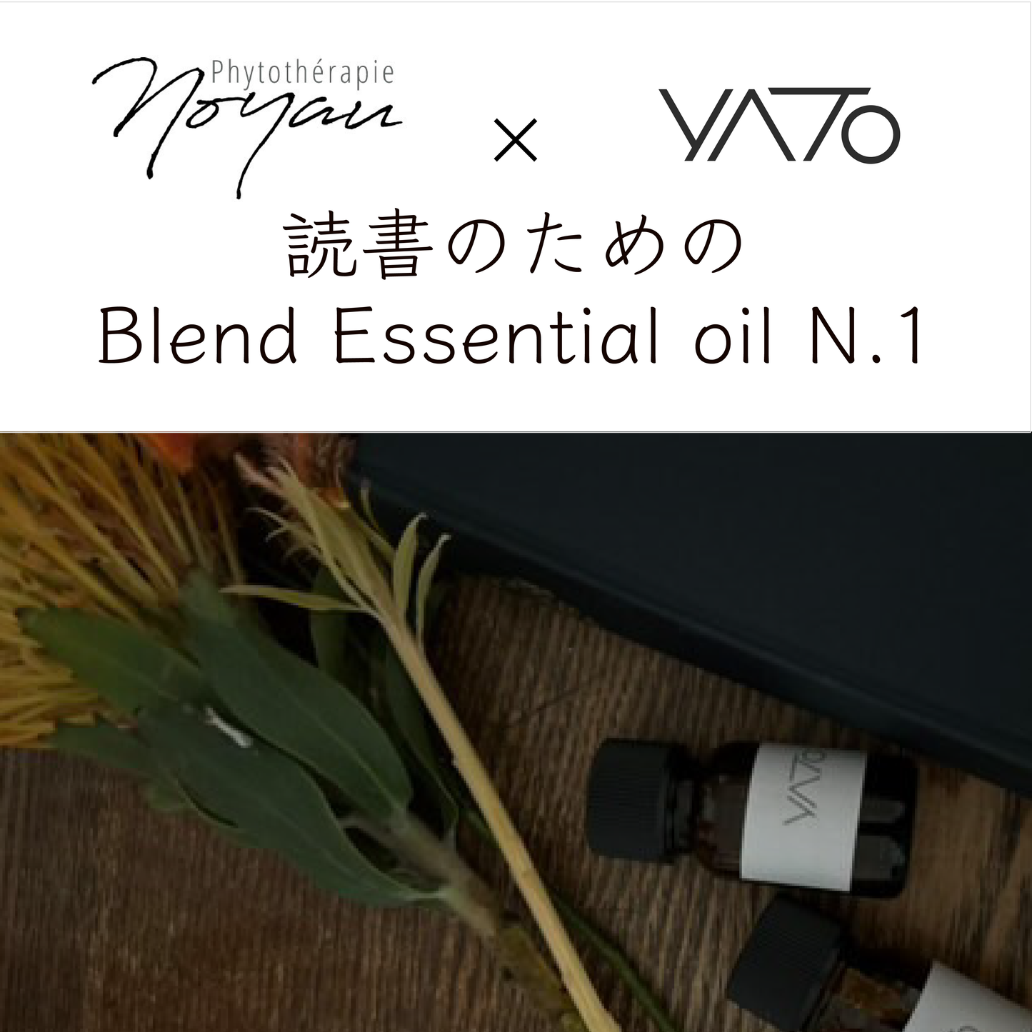 #3 読書のためのBlend Essential Oil N.1